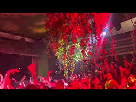 BRACA ARDZIK x VIKI EF - SEKI SEKI ( Astral Projection MiX by Mujo)