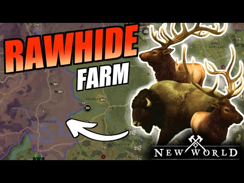 𝗥𝗔𝗪𝗛𝗜𝗗𝗘 farm in Monarch's Bluffs - lvl. 20-30 farming spot - New World guide