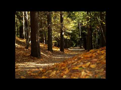 Harijs Spanovskis - Šūpļa Dziesma Mātei