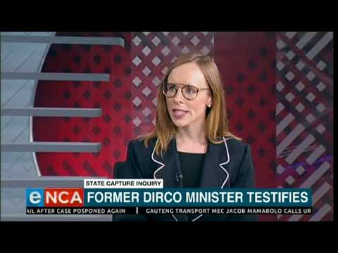 Former Dirco minister testifies
