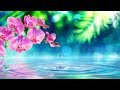 Emotional Chinese Music Beautiful Flowers Romantic Beautiful Soothing 1 Hour