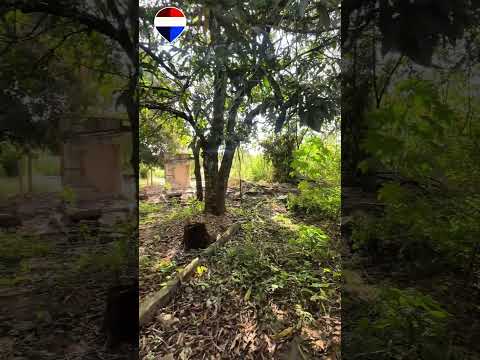 Terreno Cidade Ocidental GO #terrenos #corretordeimoveis #remax  #vendas #cidadeocidental #goiás