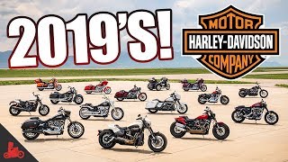 2019 Harley-Davidson - FXDR, 114's & More!