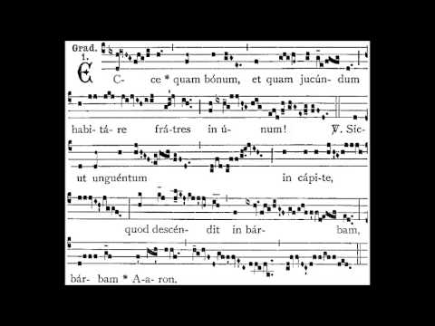 Dominica XXII. post Pentecosten - GRADUALE - Ecce quam bonum