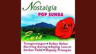 Download lagu Panon Hideung mp3