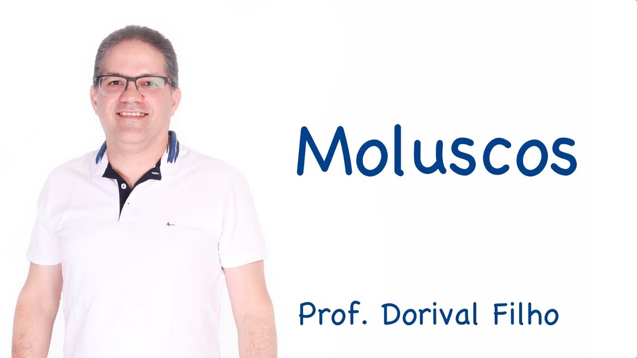 Moluscos