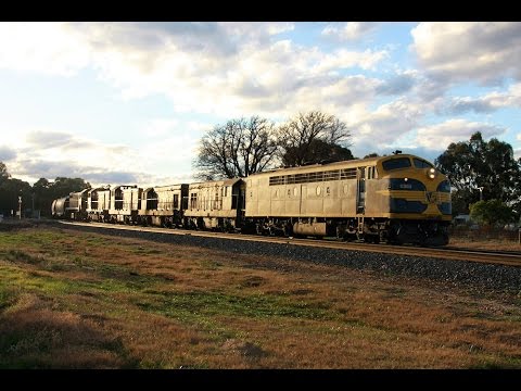 GM Bulldogs in Australia - S303 on ELZ Charlton Grain 2011
