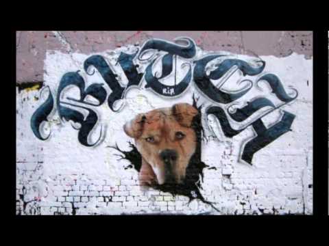 Shizo One - Für Immer