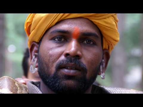 The Road to Leh and Hemis Festival with Maria Visconti