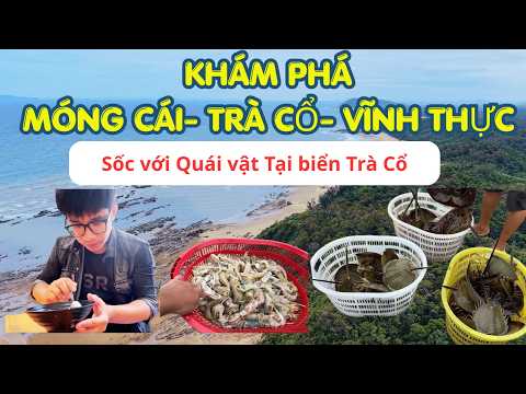 Khám Phá Móng Cái - Trà Cổ - Vĩnh Thực Quảng Ninh, Bất Ngời Với Sản Vật Địa Phương