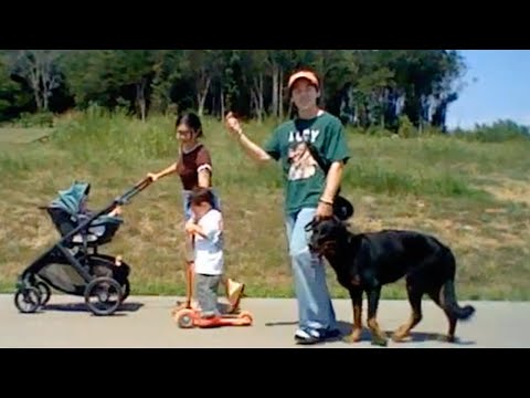 Connor Price - By My Side (Shot on Nintendo DS)