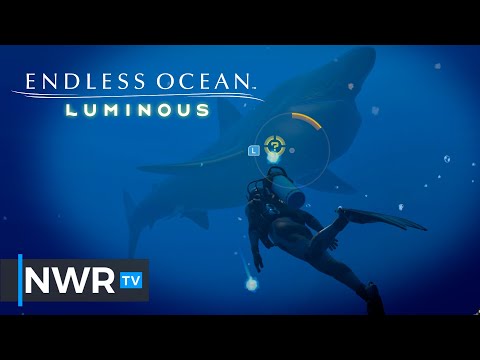 Endless Ocean Luminous - Nintendo Switch Tech Analysis and Initial Impressions