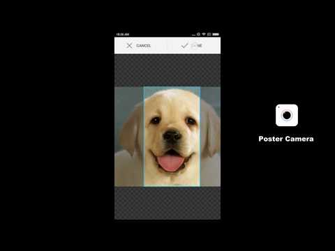 Poster Camera: Self-timer poster&Funny wipe Video