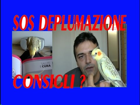 Il rimedio di gente per liberarsi da vermi Se è possibile crescere robusto a causa di vermi