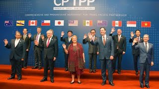 韓国がTPP加盟へ！日本支持でアジア経済が激変か 🇰🇷🤝🇯🇵 #TPP#韓国#日本#日韓関係#経済ニュース#国際情勢#貿易協定#アジア経済#政治ニュース#ショートニュース
