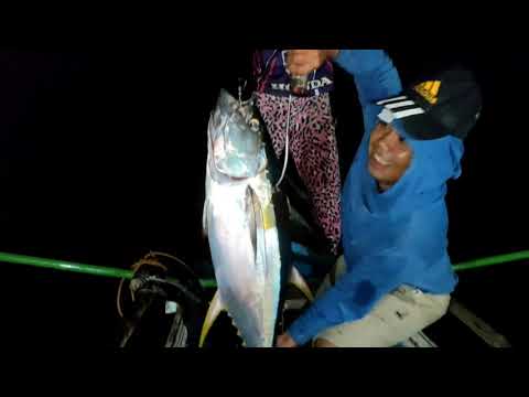 WE CAUGHT A BIG TUNA | LONG LINE FISHING