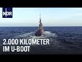 Unterwegs Im U Boot Auf Transitfahrt Mit U 31 Die Nordstory NDR Doku