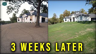 Lawn Renovation RESULTS Just 3 Weeks Later