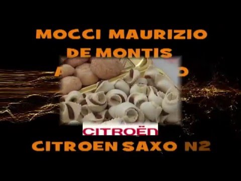 MOCCI MAURIZIO-DE MONTIS ALESSANDRO RALLY VERMENTINO 2016