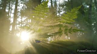 Who can compare by Jesus culture with Lyrics