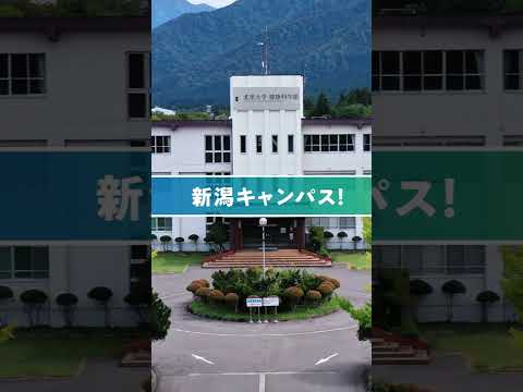 海洋生命科学科 北里大学 健康科学部