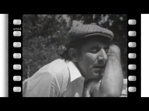 Jean Constantin şi Aurel Manolache - Confuzia (@Gala umorului)