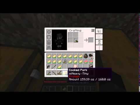 TerraFirmaCraft Season 1 Episode 9 - Food Storage