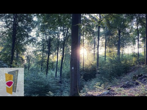 Soonwaldsteig komplett: Wanderung von Kirn nach Bingen in 2 Tagen.