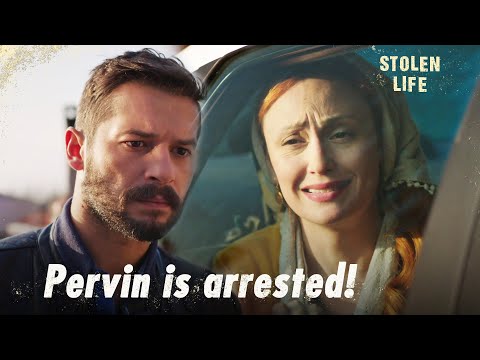 Ali finds out the truth about Pervin - Stolen Life | Short Scenes