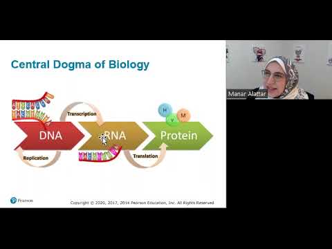 Chapter 7 [Part 1/2] - Microbial Genetics