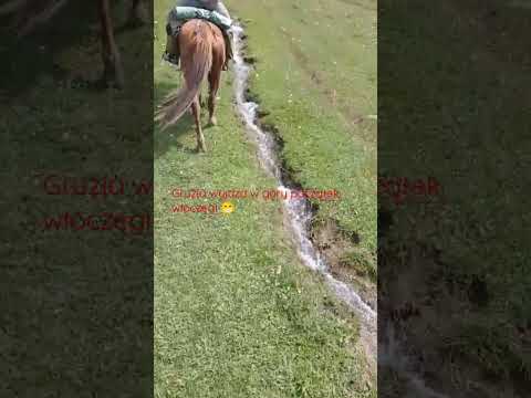 Gruzja, początek włóczęgi z Rezo-Tur