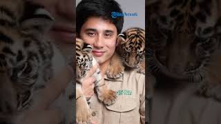 Dikecam! 7 Harimau Mati di Tangan Alshad Ahmad, WWF: Merusak Keseimbangan Ekosistem