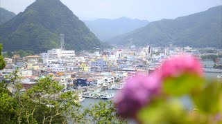 【4K HDR】下田公園｜満開の紫陽花と港町の風景 Shimoda Park｜Hydrangeas in Full Bloom and the Charming Port Town