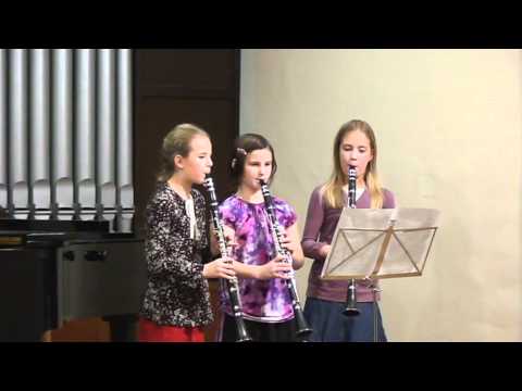 Klarinet trio E. Chytilová, L. Hulová, V. Kutálková Anonym: Hard rock