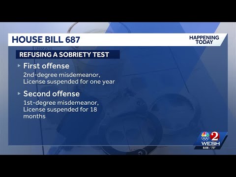 Florida Laws Regarding Escorting Services Now