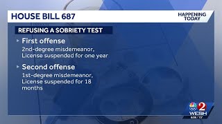 New Florida laws now in effect: What you need to know