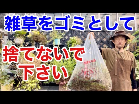 イバラがいっぱいの庭 2023