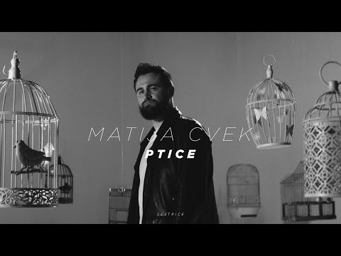 MATIJA CVEK - Ptice (Official Video)