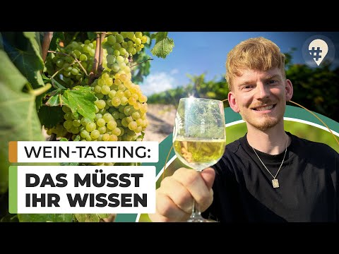 5 Tipps für eine Fahrradtour durch die Weinberge | Saale & Unstrut | Doku | #hinREISEND