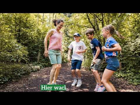 Bad Buchau Impressionen