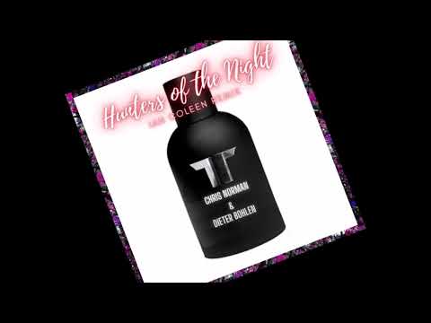 CHRIS NORMAN & DIETER BOHLEN - HUNTERS OF THE NIGHT Ian Coleen Remix