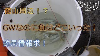 【館山釣り情報】魚が消えました(*'▽')・・・)　4/25～26【釣りっぱり】