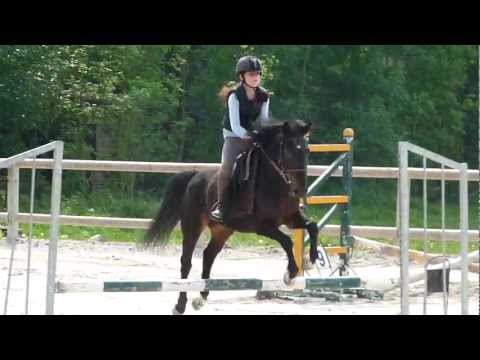 Juliette sur Kenzo concours de saut d'obstacle 30 a 50cm :)