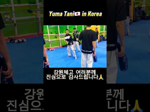 Yuma Tani in Korea🇰🇷Sailus榊原道場× 강원체고　テコンドー 谷侑馬 #tkd #fight #강원체고　#korea #kick #taekwondo