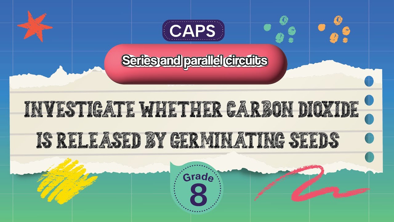 [GRADE 8] Investigate whether carbon dioxide is released by germinating seeds