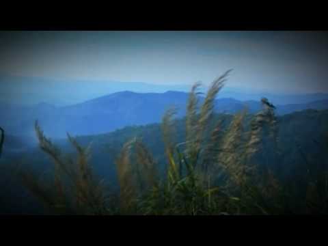 chen vang -phu tshi fab