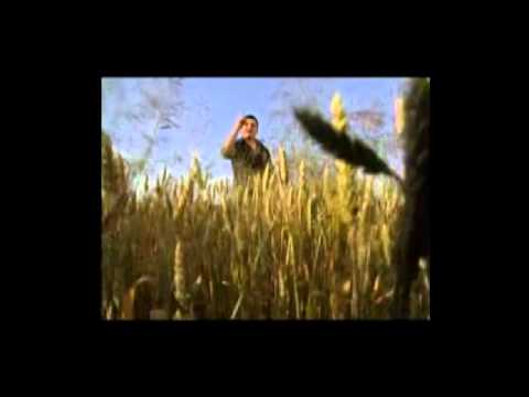 Liviu - De trei zile stau si beau - DVD - Etno star 3