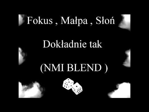 Fokus , Małpa , Słoń - Dokładnie tak  (NMI BLEND)