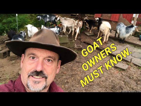 , title : 'Raising goats basics: 10 things you need to understand before getting goats.'