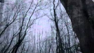 My Own Secret Garden (Dreamcatcher)